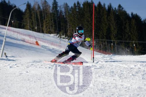 BJT 8687 DxO