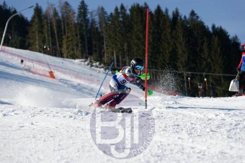 BJT 8692 DxO