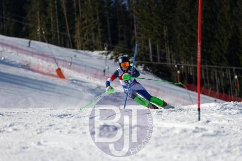 BJT 8695 DxO