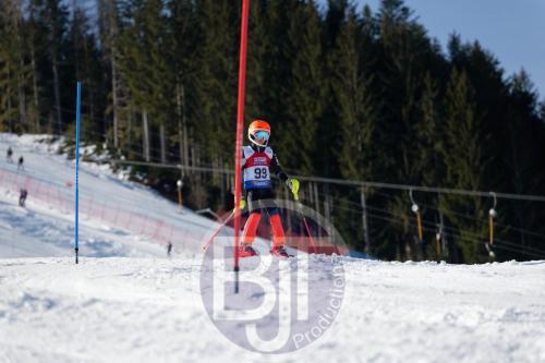 BJT 8733 DxO
