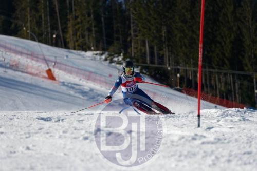 BJT 8742 DxO