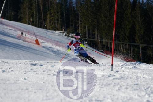 BJT 8754 DxO