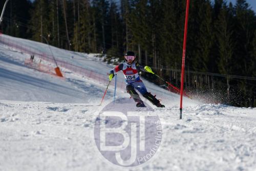 BJT 8755 DxO