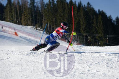 BJT 8757 DxO