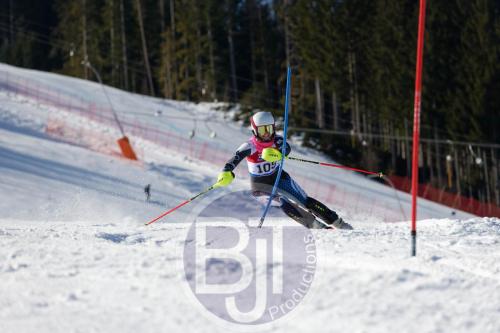 BJT 8782 DxO