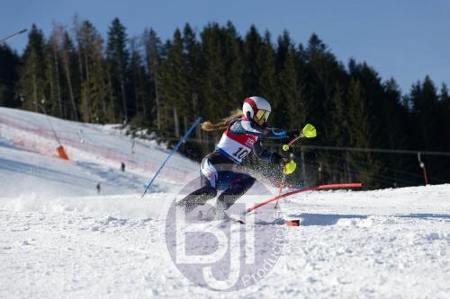 BJT 8785 DxO