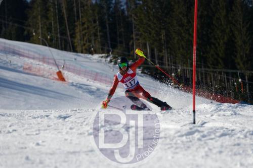 BJT 8824 DxO