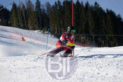 BJT 8825 DxO