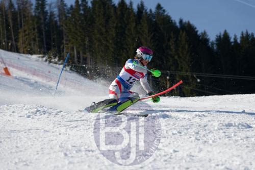 BJT 8856 DxO