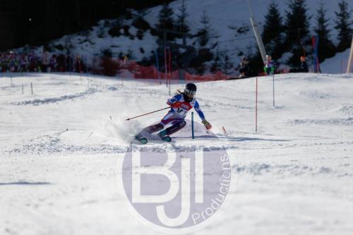 BJT 8869 DxO