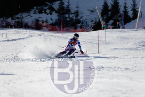 BJT 8870 DxO