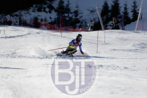 BJT 8876 DxO