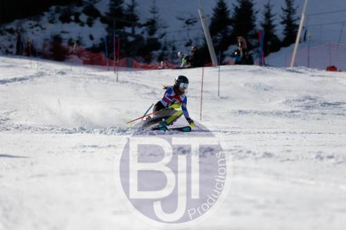 BJT 8877 DxO