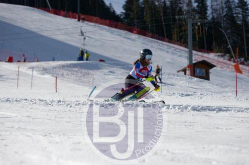 BJT 8879 DxO