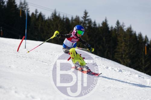 BJT 8885 DxO