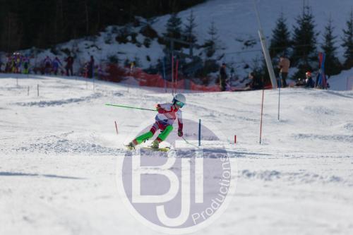BJT 8894 DxO