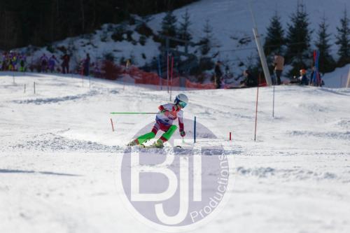 BJT 8895 DxO