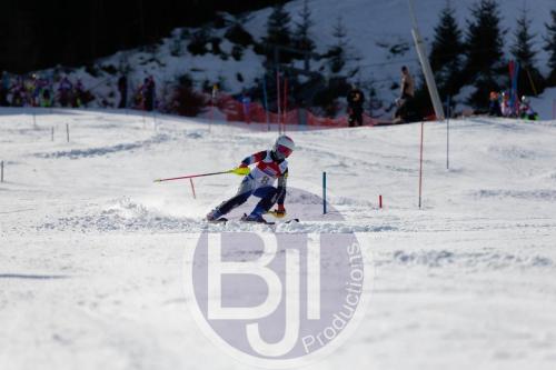 BJT 8903 DxO