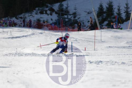 BJT 8904 DxO