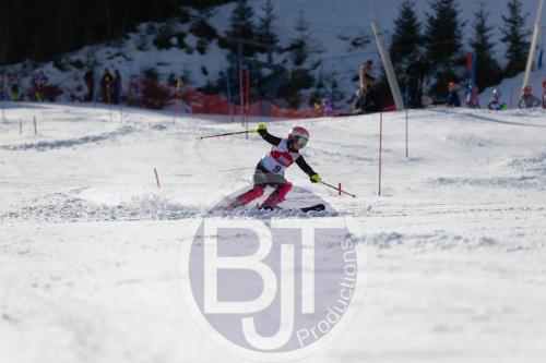 BJT 8913 DxO