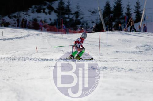 BJT 8921 DxO