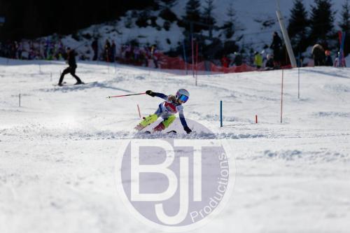 BJT 8929 DxO