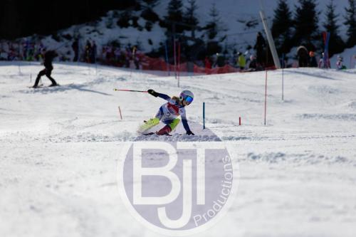 BJT 8930 DxO