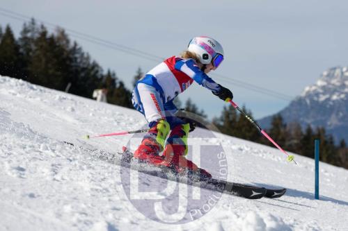 BJT 8935 DxO