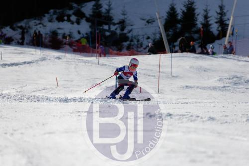 BJT 8939 DxO