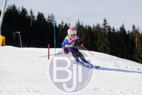 BJT 8943 DxO