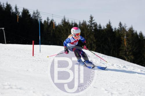 BJT 8944 DxO