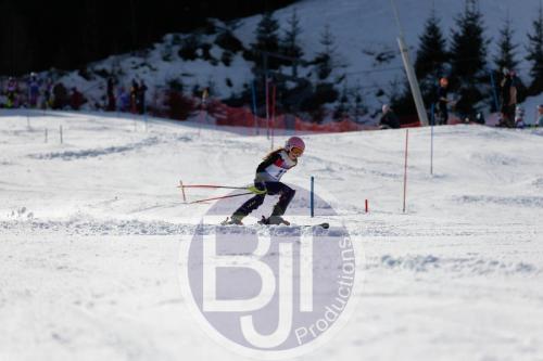 BJT 8949 DxO