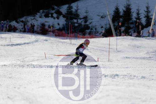 BJT 8950 DxO
