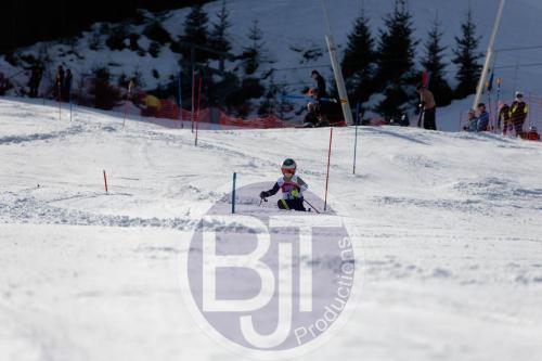 BJT 8958 DxO