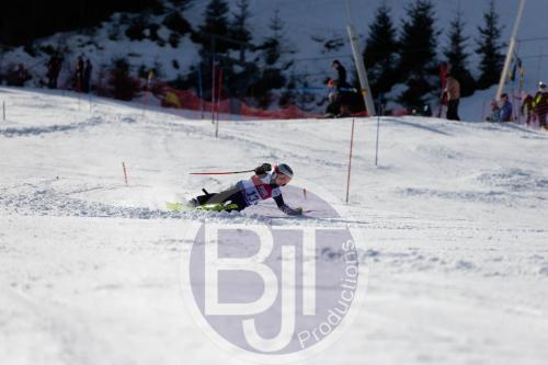 BJT 8962 DxO