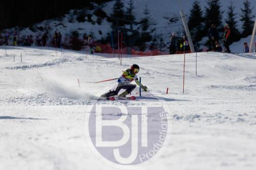 BJT 8979 DxO