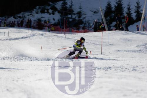 BJT 8980 DxO