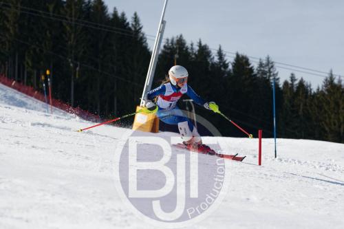 BJT 8995 DxO