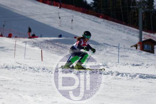 BJT 9004 DxO