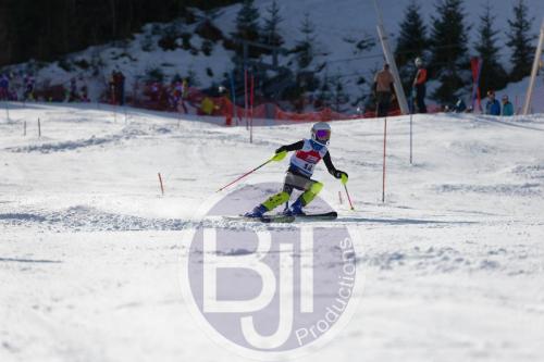 BJT 9012 DxO