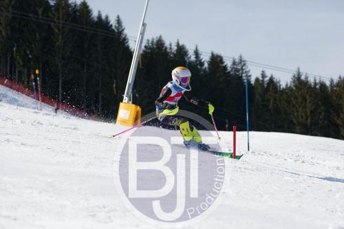 BJT 9015 DxO