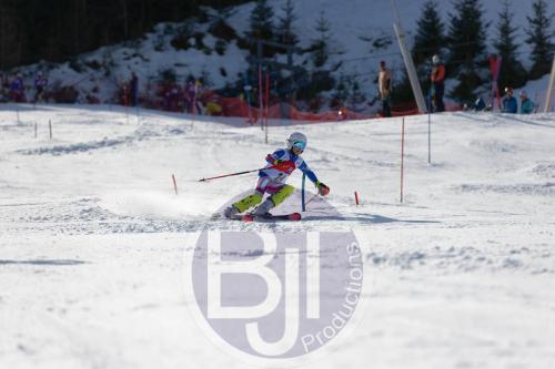 BJT 9020 DxO