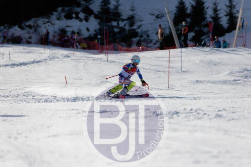 BJT 9021 DxO