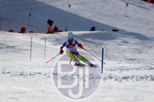 BJT 9022 DxO