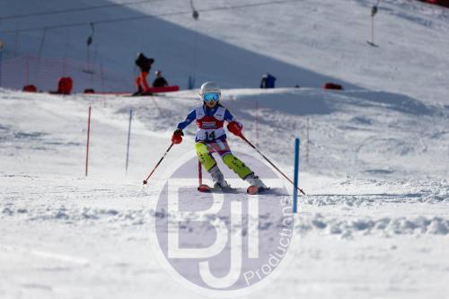 BJT 9023 DxO