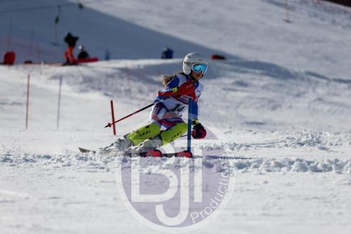 BJT 9024 DxO