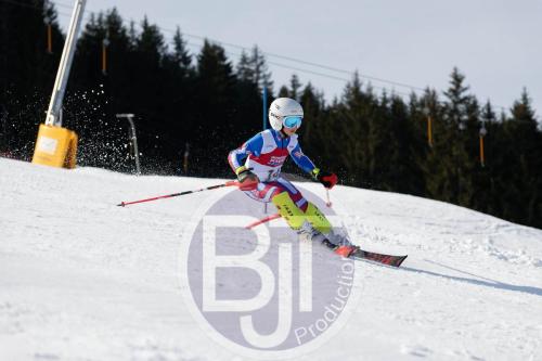 BJT 9026 DxO