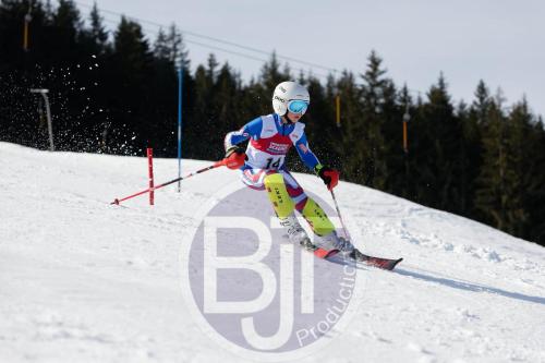 BJT 9027 DxO