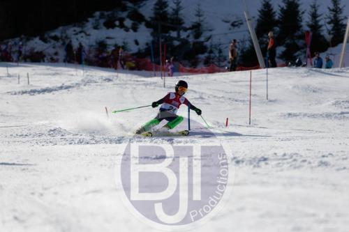 BJT 9032 DxO