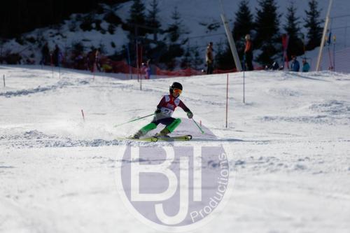 BJT 9033 DxO